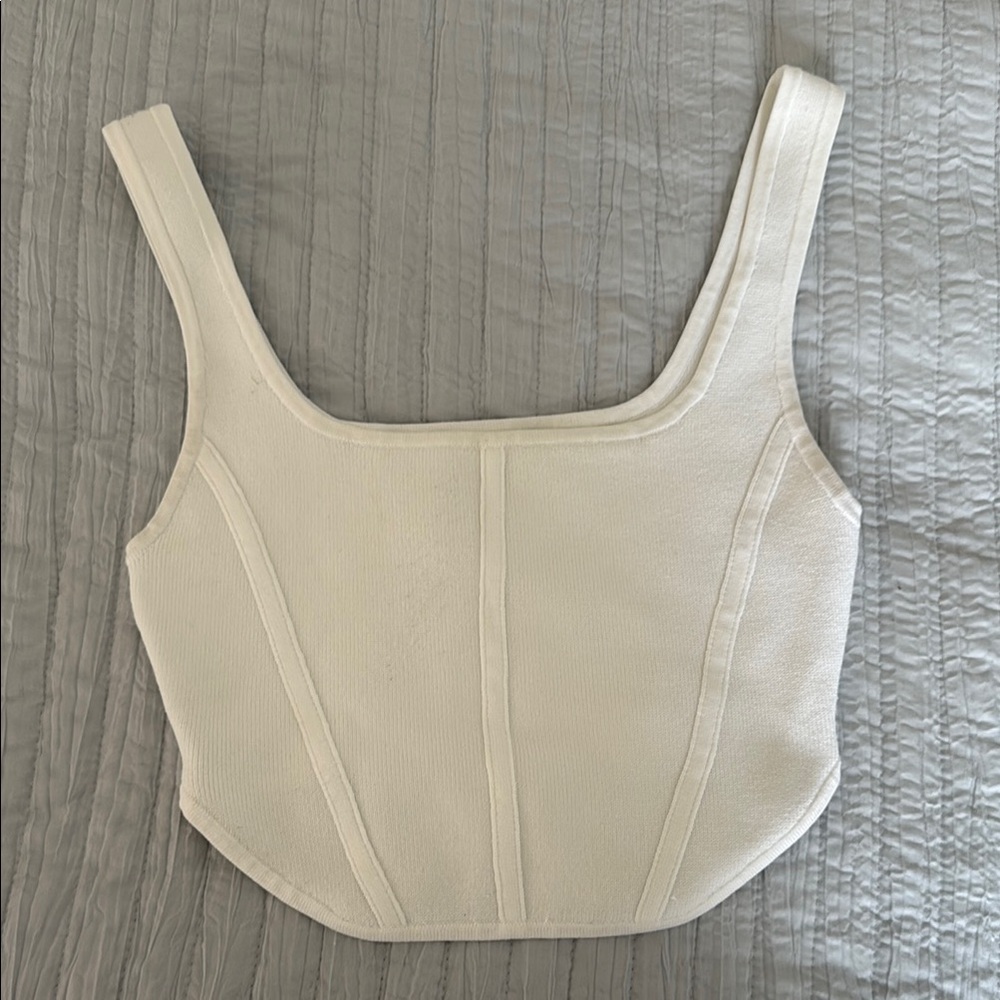 Babaton Aritzia top